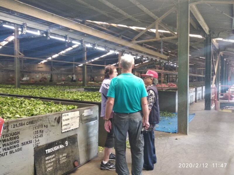 Jakarta: Volcano, Hot Spring, Tea, Rice Fields, &Coffee Tour - Tour Inclusions