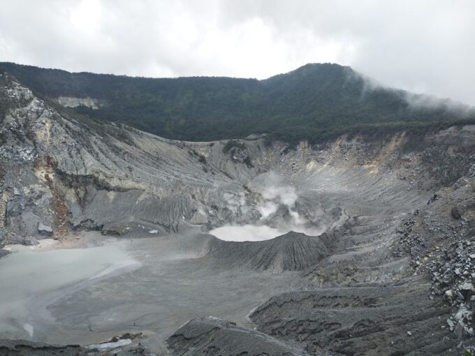 Jakarta: Volcano, Hot Spring, Tea, Rice Fields, &Coffee Tour - Tea Plantation Visit
