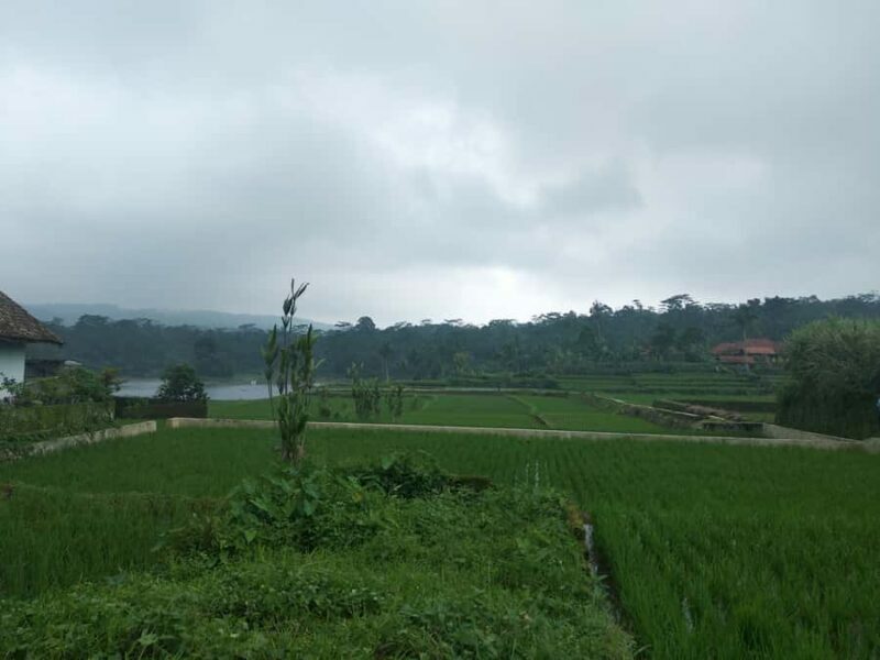 Jakarta :Volcano, HotSpring, Tea Factory, RiceField, &Coffee - Key Points