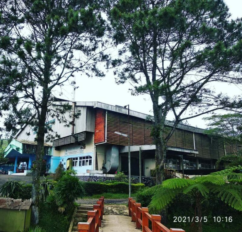 Jakarta :Volcano, HotSpring, Tea Factory, RiceField, &Coffee - Visiting the Tea Plantation and Factory