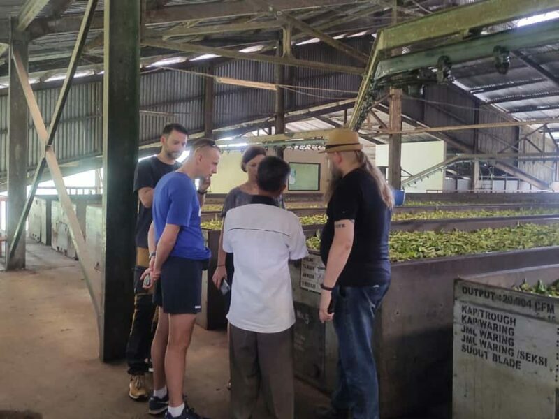 Jakarta :Volcano, HotSpring, Tea Factory, RiceField, &Coffee - Coffee Tasting at Kopi Luwak