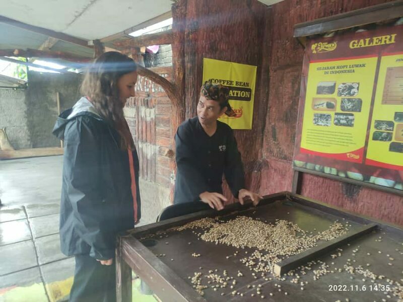 Jakarta :Volcano, HotSpring, Tea Factory, RiceField, &Coffee - Relaxing in Sari Ater Hot Spring