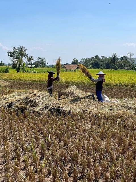 Jakarta: Volcano, Tea/Rice Fields, Hot Spring, Local Food - Hot Springs Relaxation