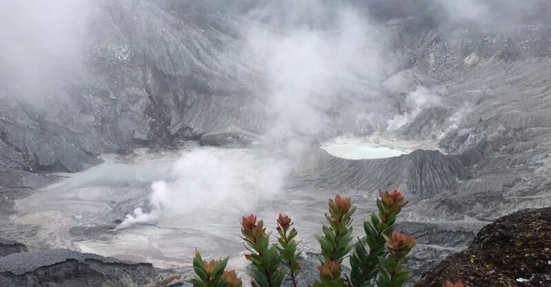 Jakarta: Volcano, Tea/Rice Fields, Hot Spring, Local Food - Included Services