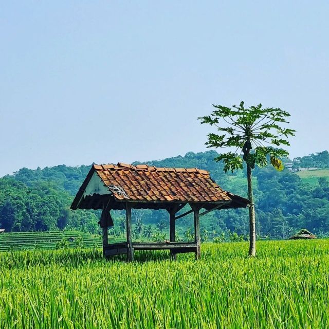Jakarta: Volcano, Tea/Rice Fields, Hot Spring, Local Food - Not Suitable For