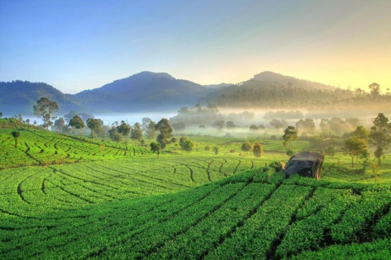 Jakarta: Volcano White Crater, Natural Hot Spring West Java - Book Your Adventure