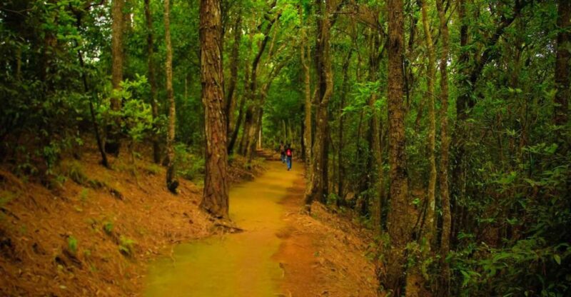 Jamacho Day Hike in Kathmandu - 1 Day - Itinerary