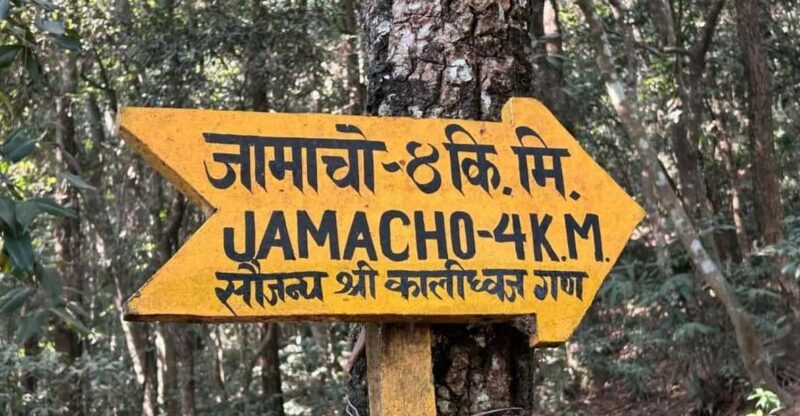 Jamacho Nagarjun : Day Hiking Around Kathmandu - Returning to Thamel