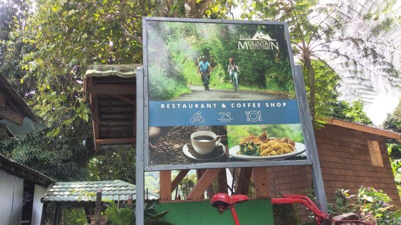 Jamaica: ATV, Horse Ride, Zipline, Catamaran, and Waterfall… - Catamaran Cruise and Zipline Adventure