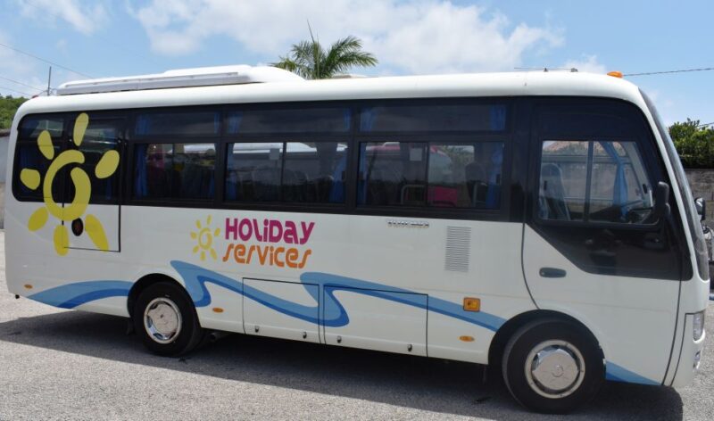 Jamaica: Bioluminescent Lagoon Boat Cruise With Transfers - Experience Highlights