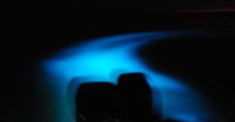 Jamaica: Bioluminescent Lagoon Boat Cruise With Transfers - Whats Included