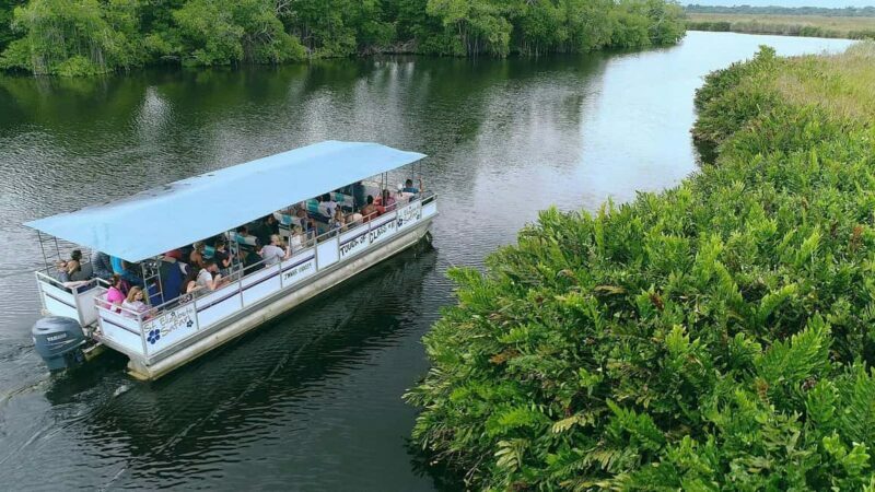 Jamaica: Black River Safari Guided Tour and YS Falls Tour - The Sum Up