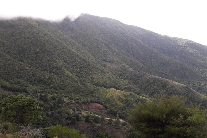 Jamaica Blue Mountain Guided Nature Tour - Pricing and Inclusions