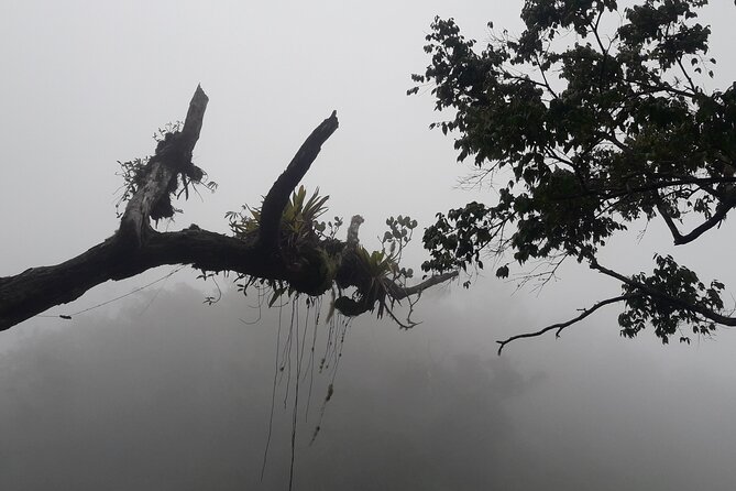 Jamaica Blue Mountain Guided Nature Tour - Destination Highlights