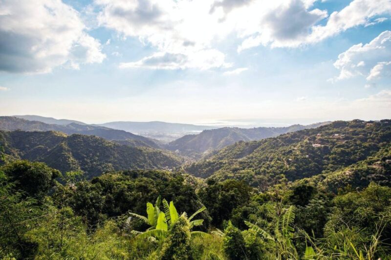 Jamaica: Blue Mountains Full Day Tour With Brunch & Lunch - Pickup and Schedule Information