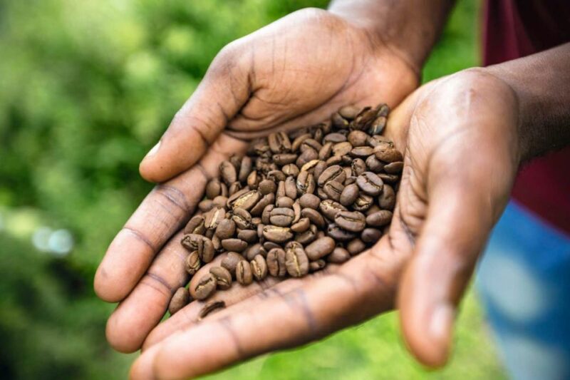 Jamaica: Blue Mountains Full Day Tour With Brunch & Lunch - Frequently Asked Questions