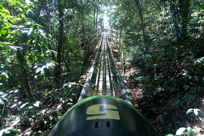 Jamaica Bobsled Adventure Tour - Bobsled Experience