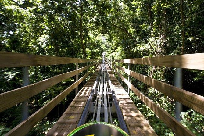 Jamaica Bobsled Adventure Tour - Experience the Bobsled Ride