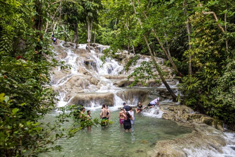 Jamaica: Dunns River and Nine Miles - Customer Feedback