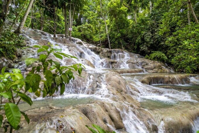 Jamaica: Dunns River and Nine Miles - Tour Departure Details