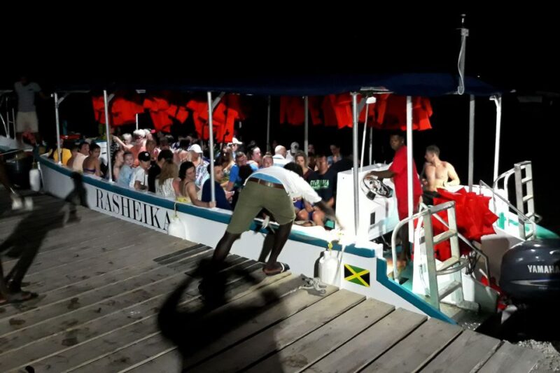 Jamaica: Dunns River Falls, 9 Mile and Optional Lagoon Tour - Attractions and Activities
