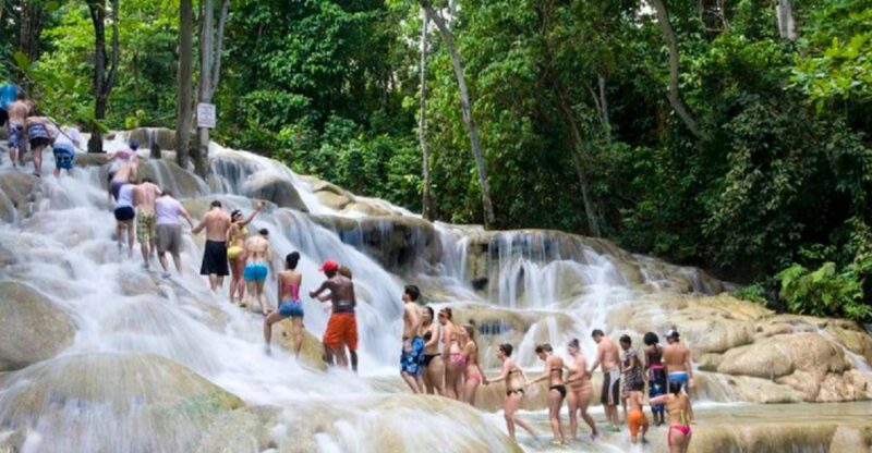 Jamaica: Dunn's River Falls and Jungle River Tubing Tour - Key Points