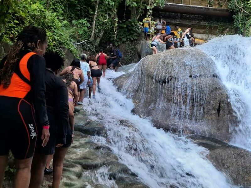 Jamaica Dunn's River Falls guided tour from Ocho Rios hotels - Exploring Hidden Caves and Vegetation