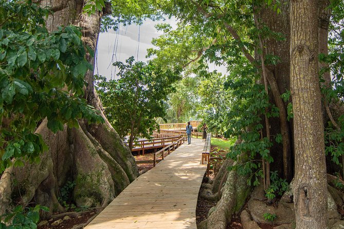 Jamaica Giants Sculpture Park, Art Galleries - Operating Hours and Accessibility