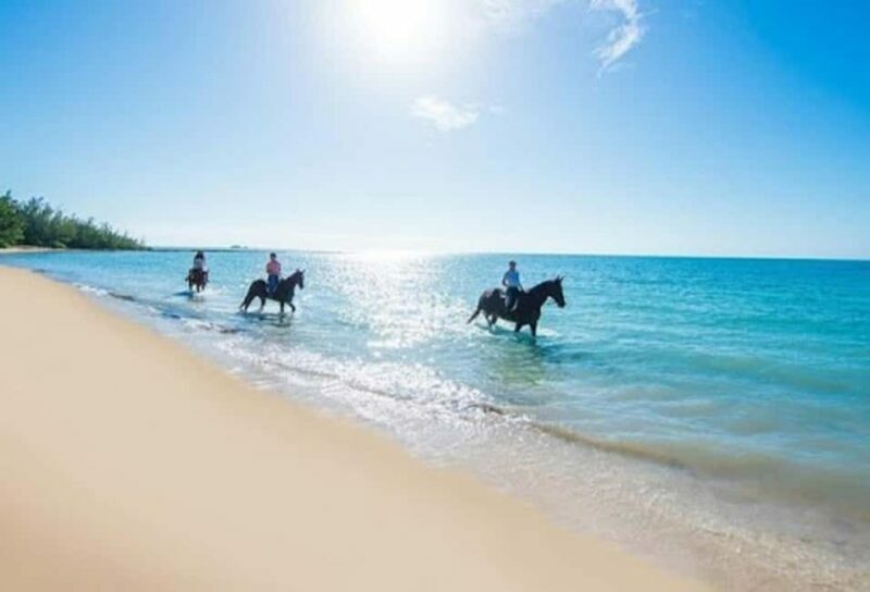 Jamaica: Private Horseback Ride and Swim in the Sea - Key Points