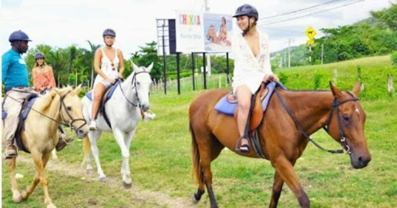 Jamaica: Private Horseback Ride and Swim in the Sea - An In-Depth Look at the Jamaica Horseback Adventure