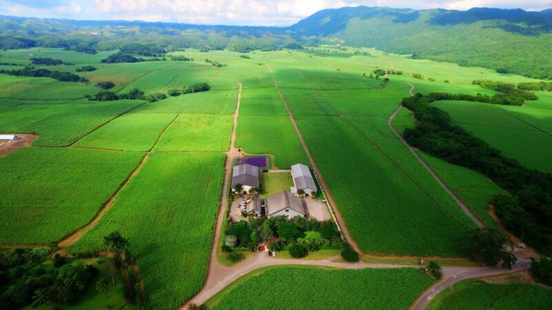 Jamaica: Worthy Park Rum Estate - Inclusions in the Tour