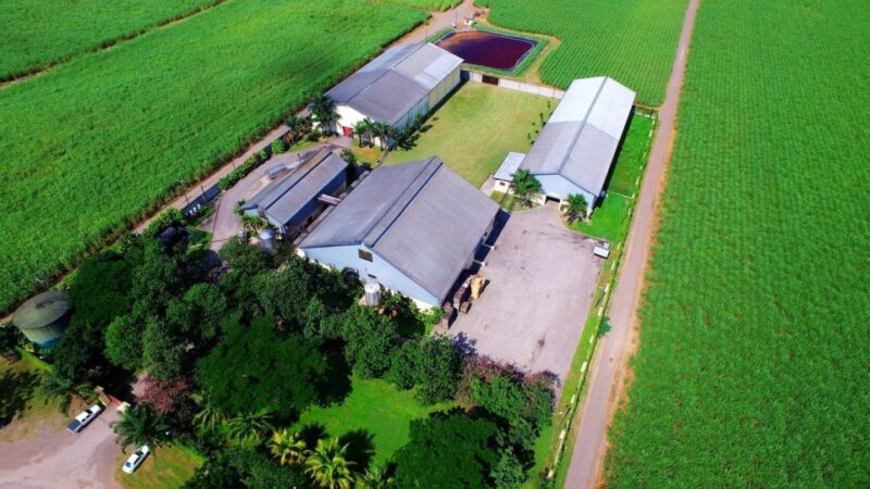 Jamaica: Worthy Park Rum Estate - Accessibility and Mobility Considerations