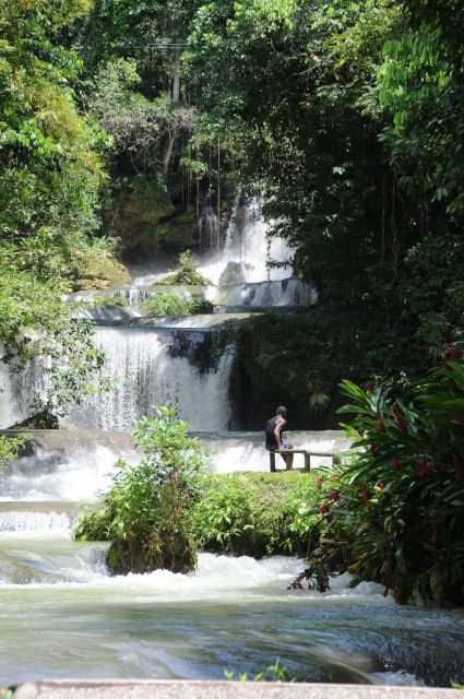 Jamaica: YS Falls and Black River Safari Day Tour - Important Information