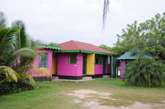 Jamaica: YS Falls and Black River Safari Day Tour - Scenic Drive Through Jamaica