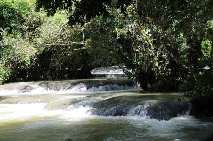 Jamaica: YS Falls and Black River Safari Day Tour - Exploring YS Falls