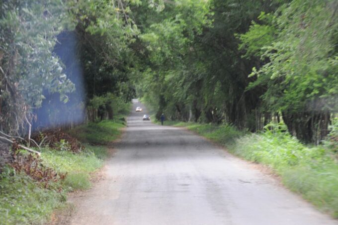 Jamaica: YS Falls and Black River Safari Day Tour - Frequently Asked Questions