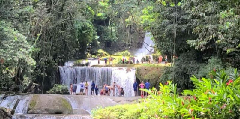 Jamaica: YS Falls and Black River Safari Tour - Authenticity and Value