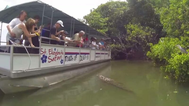 Jamaica: YS Falls and Black River Safari Tour - Who Will Love This Tour?