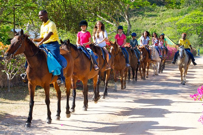 Jamaica Zipline and Horseback Ride N Swim Adventure Tour From Ocho Rios - Safety and Requirements