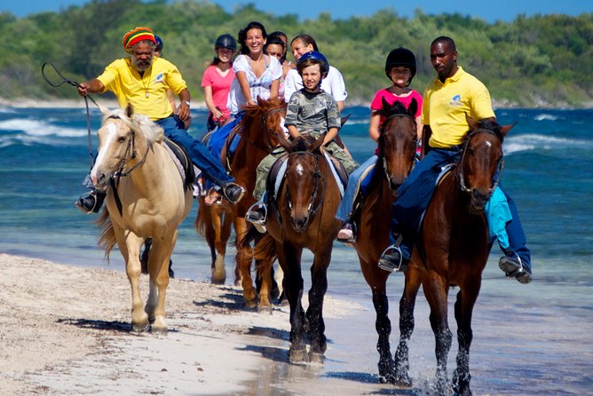 Jamaica Zipline and Horseback Ride N Swim Adventure Tour From Runaway Bay - About the Jamaica Adventure Tour