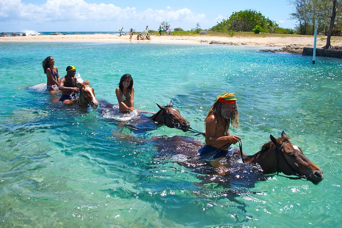 Jamaica Zipline and Horseback Ride N Swim Adventure Tour From Runaway Bay - Booking Your Stay