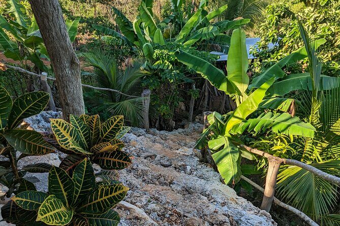 Jamaican Roots Tropical Farm Tour - Taste & Explore (Negril) 2hr - The Experience in Detail: Why It Works