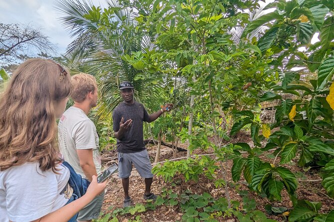 Jamaican Roots Tropical Farm Tour - Taste & Explore (Negril) 2hr - About Your Stay