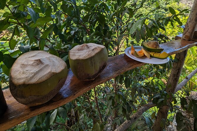 Jamaican Roots Tropical Farm Tour - Taste & Explore (Negril) 2hr - Knowledgeable Host and Guide