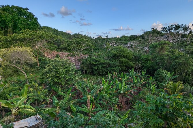 Jamaican Roots Tropical Farm Tour - Taste & Explore (Negril) 2hr - Exceptional Guest Reviews