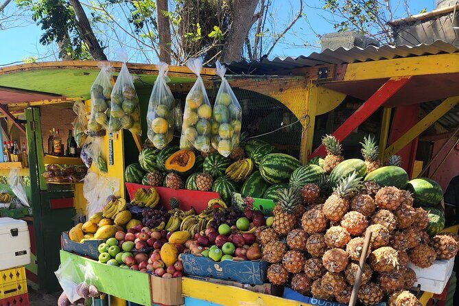 Jamaican Street Food and Rum Tasting Private Tour - Jamaican Street Food and Rum Tasting Private Tour: A Flavorful Dive into Montego Bay