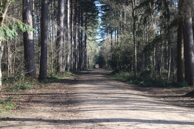 James Bond Classic Tour From London - Pinewood Studios Stop