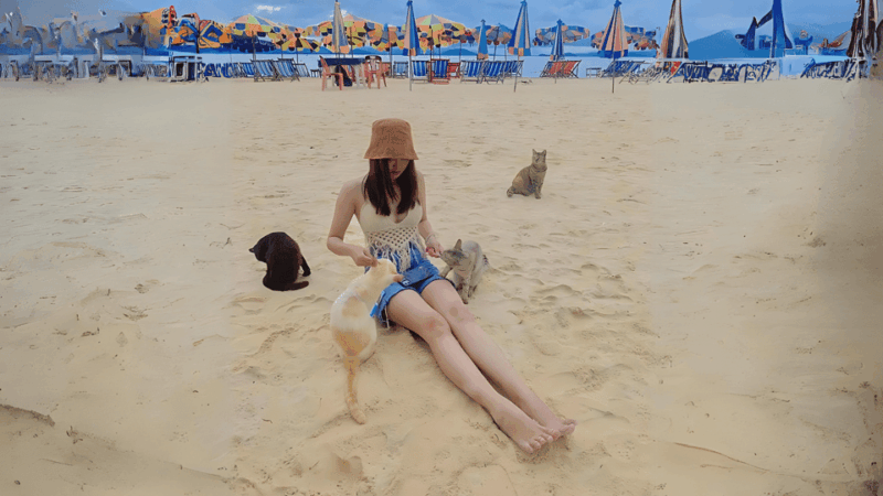 James Bond & Khai Island With Sea Canoe & Snorkeling (2in1) - Panak Island Exploration