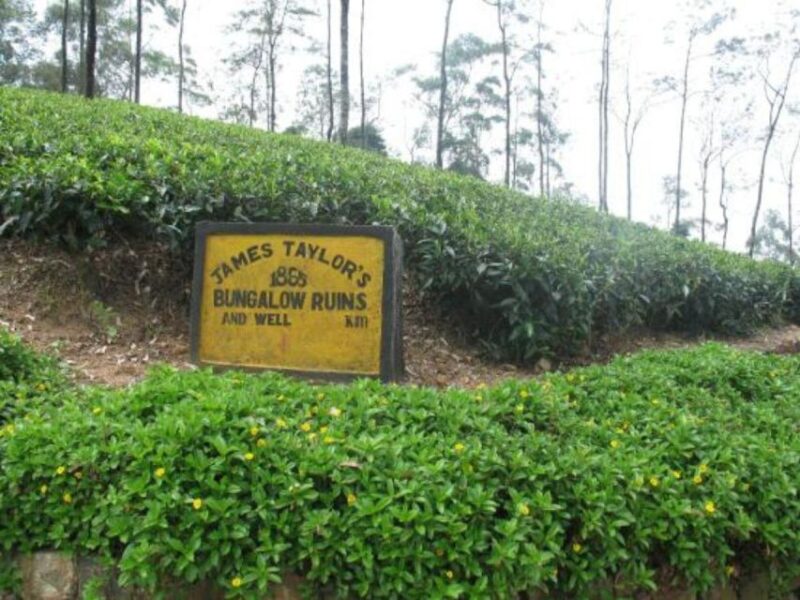 James Taylors Enchanting Tea Story Tour From Kandy - Tour Duration and Price