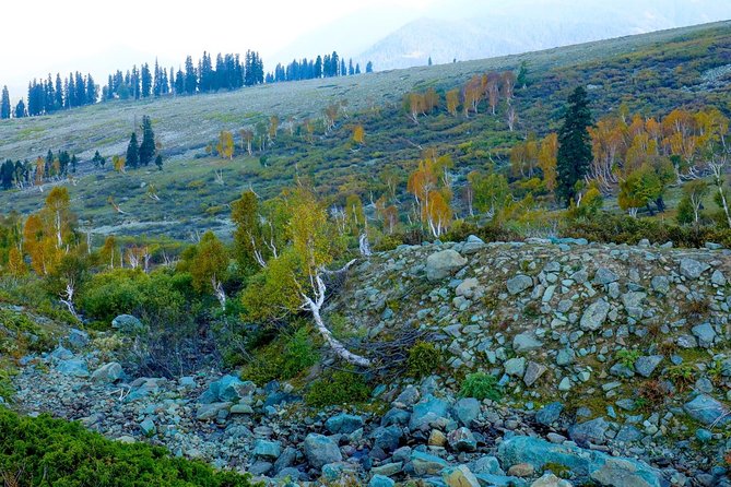 Jammu & Kashmir Valley Tour - Exploring Pahalgam
